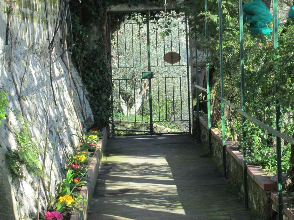 L'Uliveto Bed & Breakfast Positano Exterior photo