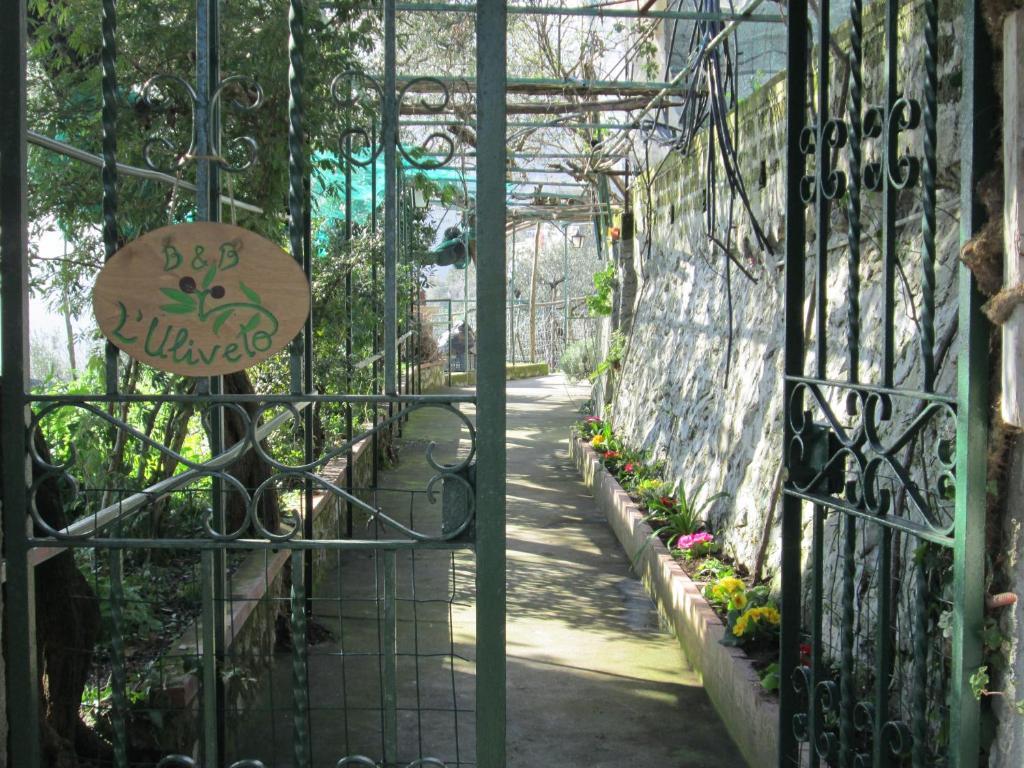 L'Uliveto Bed & Breakfast Positano Exterior photo