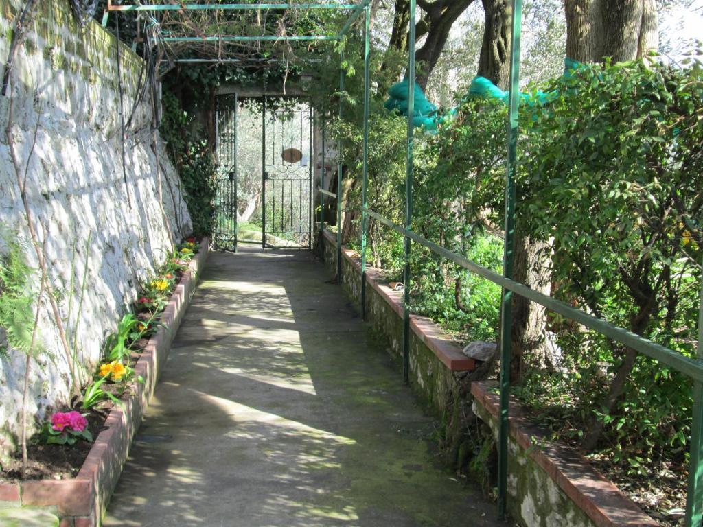 L'Uliveto Bed & Breakfast Positano Exterior photo