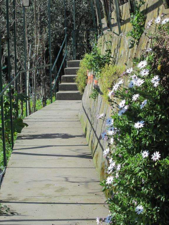 L'Uliveto Bed & Breakfast Positano Exterior photo